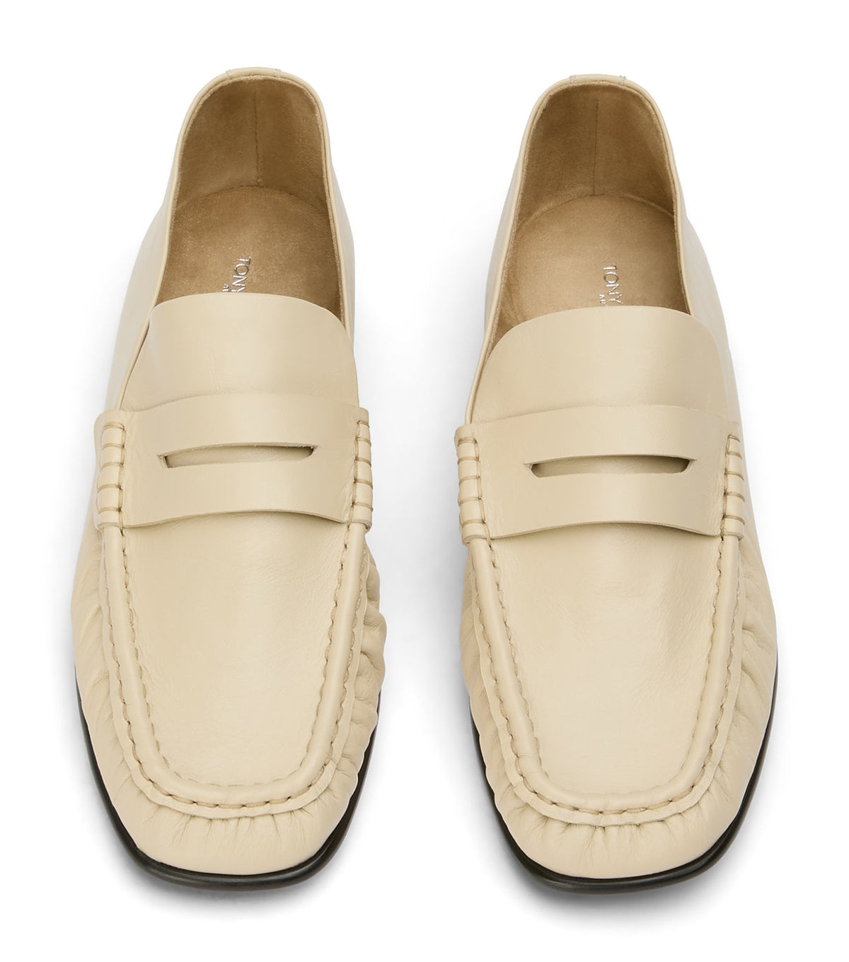 Gomez Vanilla Venice | Tony Bianco