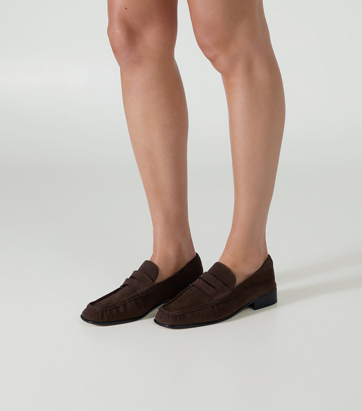 Gomez Espresso Suede | Tony Bianco