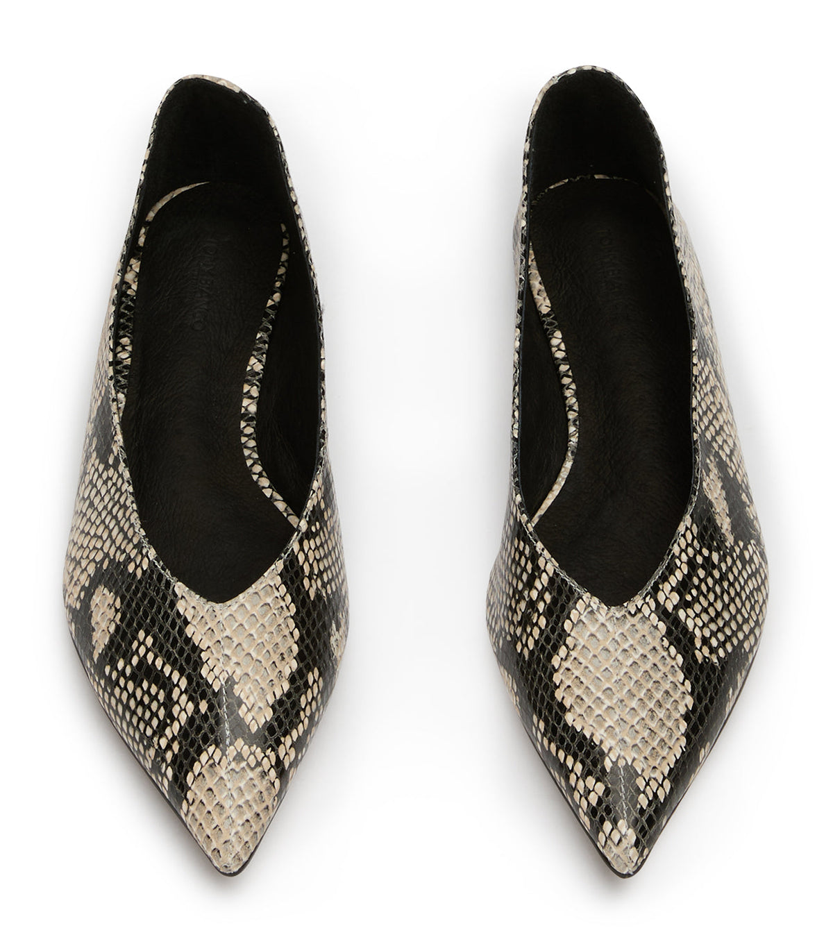 Joop Ecru Snake Flats | Tony Bianco
