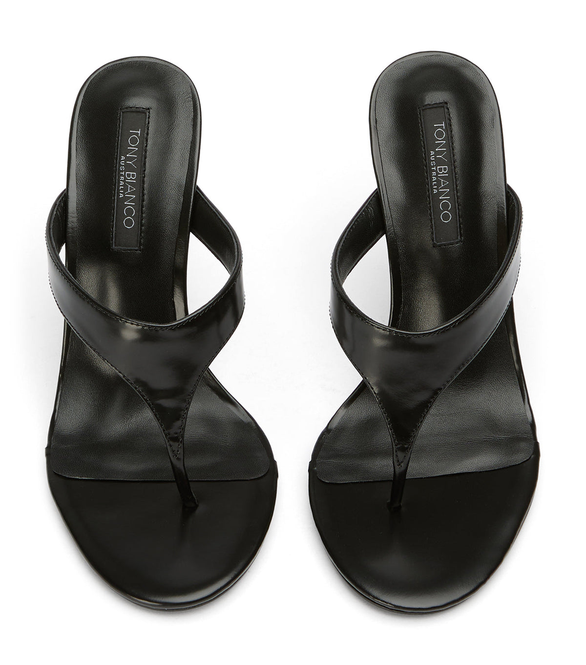 Dynasty Black Hi Shine | Tony Bianco