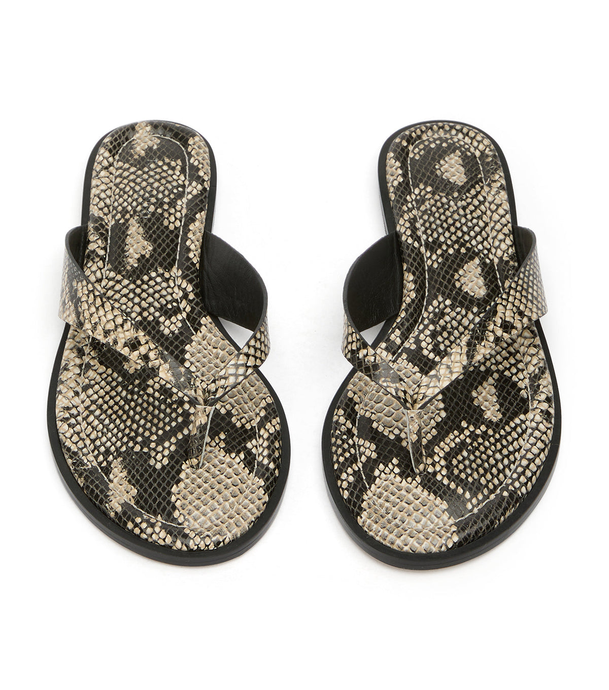 Sahara Ecru Snake | Tony Bianco