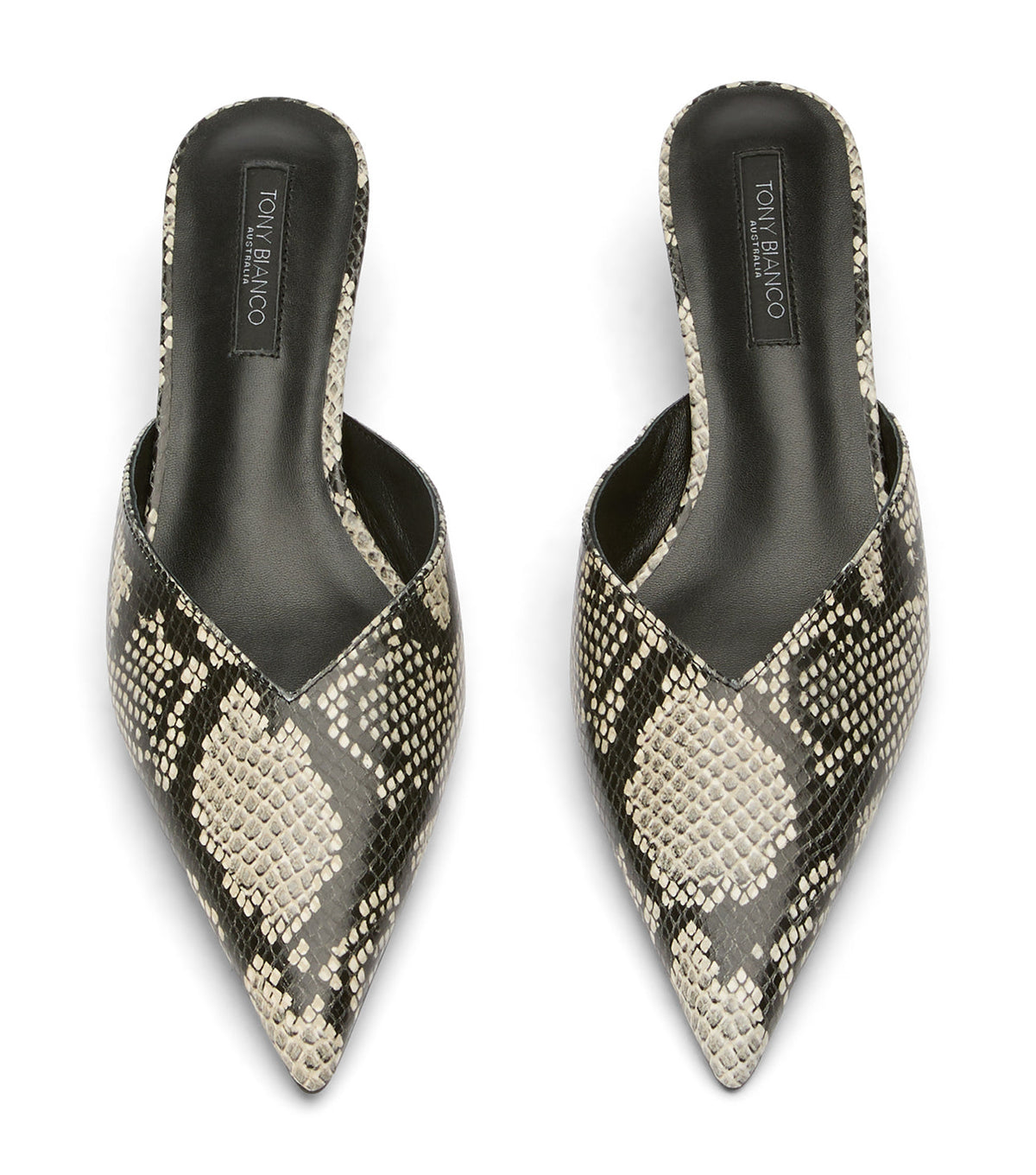 Connie Ecru Snake | Tony Bianco