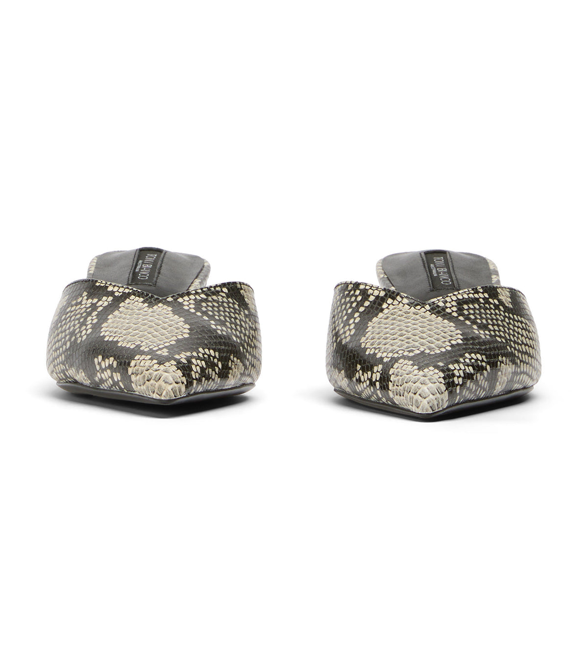 Connie Ecru Snake | Tony Bianco