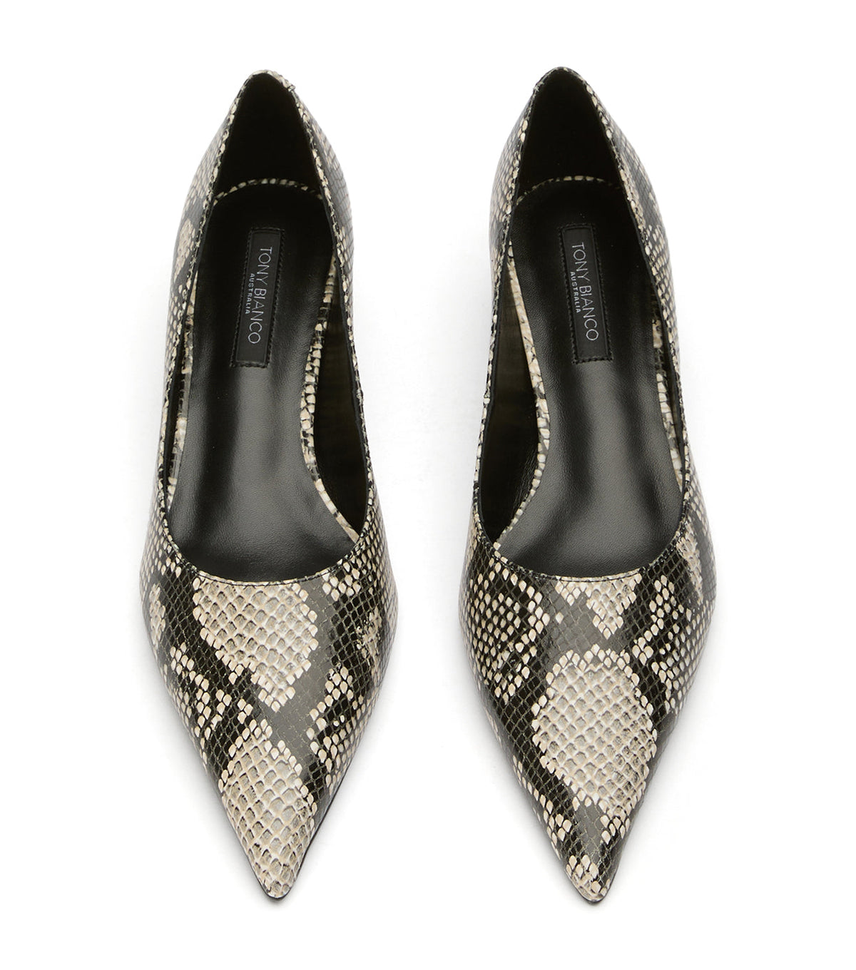 Cameo Ecru Snake | Tony Bianco