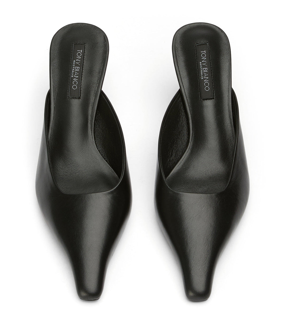 Juniper Black Venice | Tony Bianco