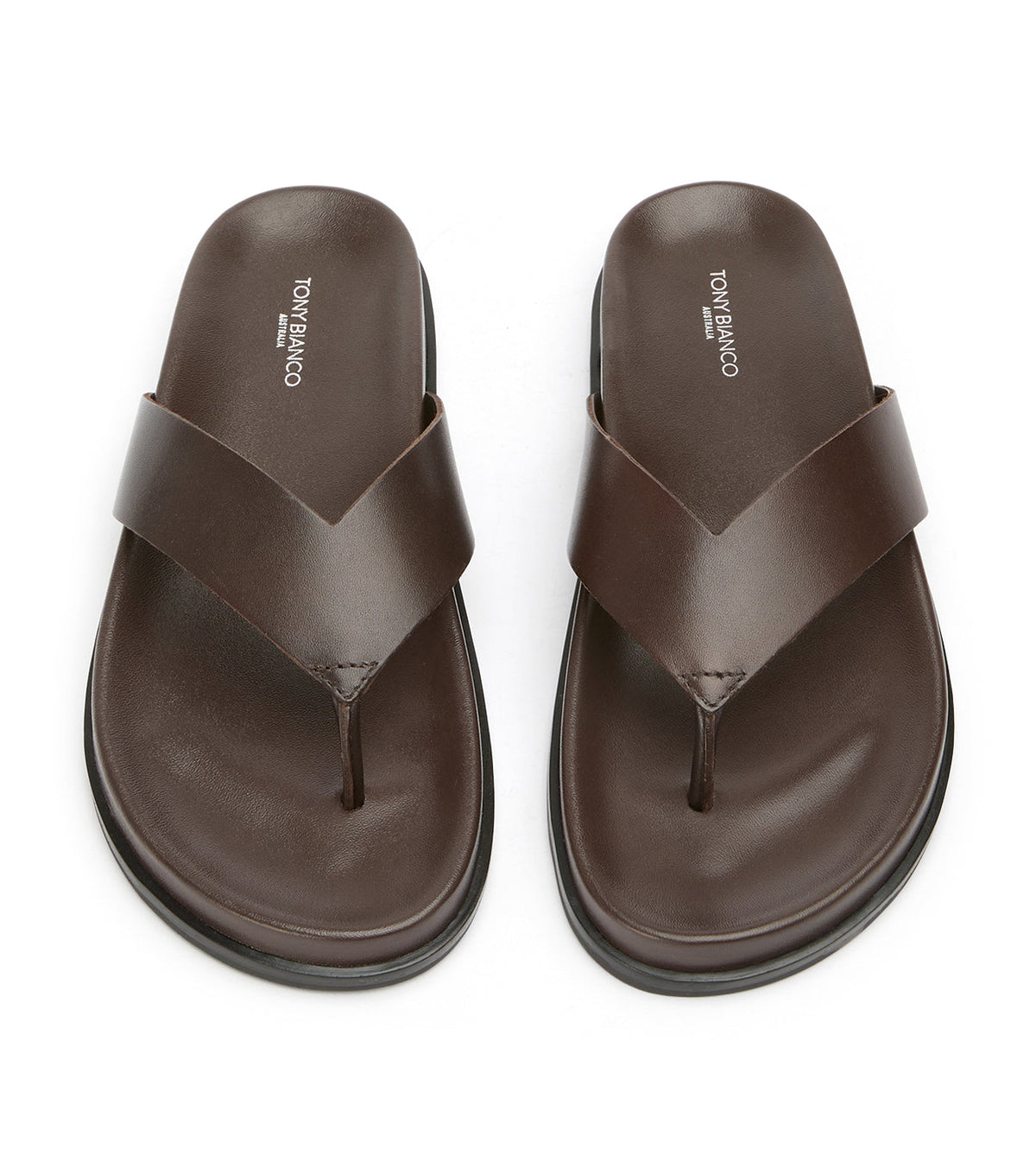 Loop Choc | Tony Bianco