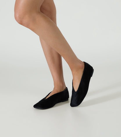Concorde Black Pony | Tony Bianco
