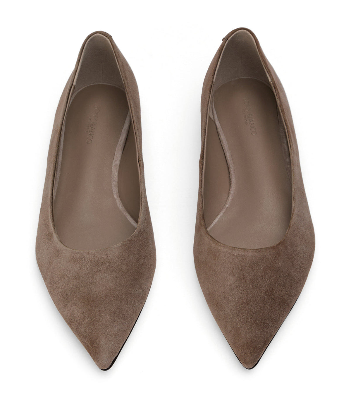 Jesse Ashen Suede | Tony Bianco