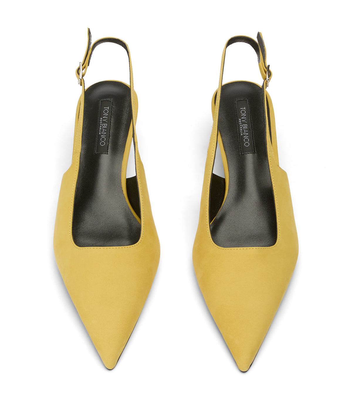 Crush Limon Nubuck | Tony Bianco