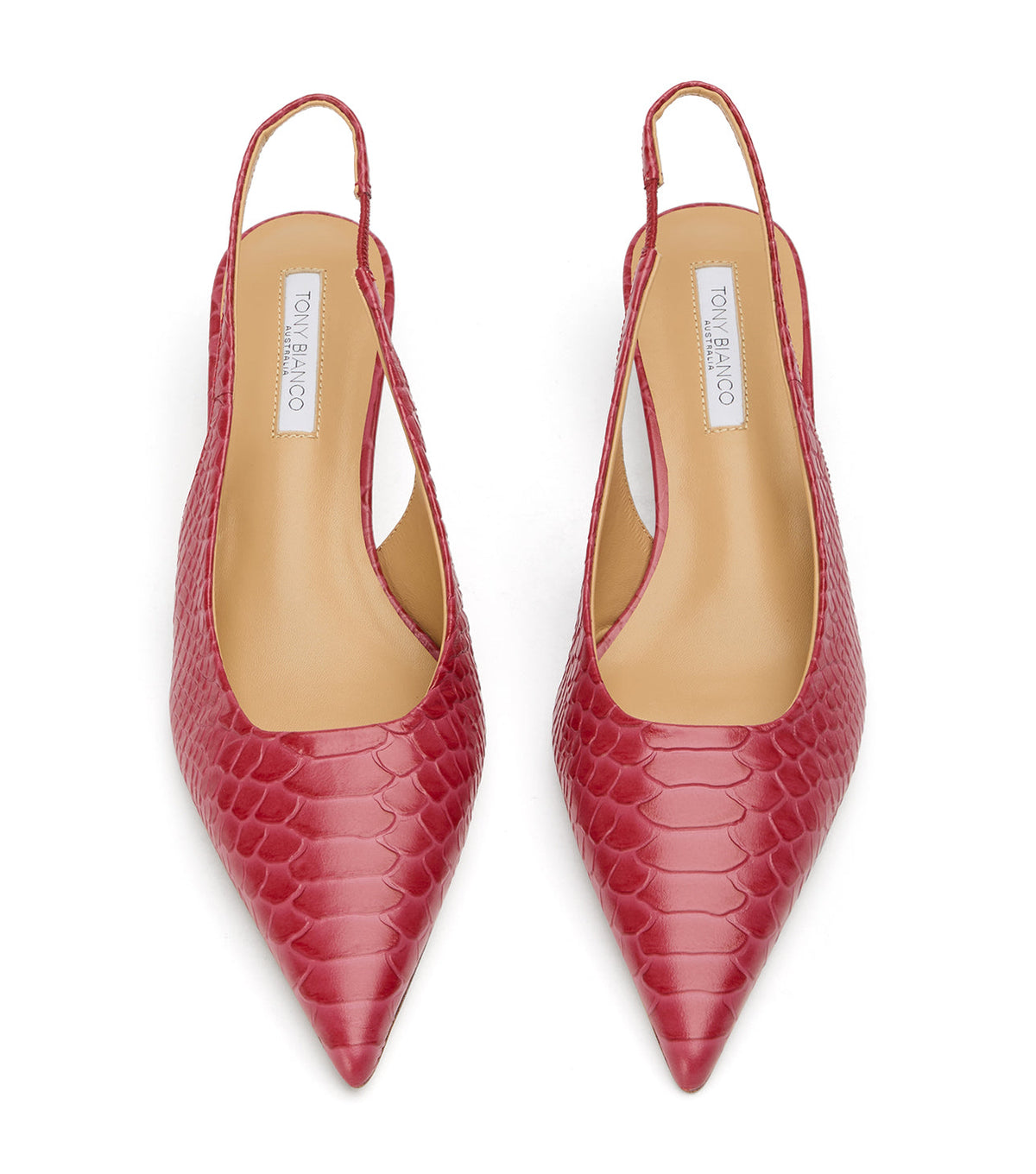 Catie Scarlet Python | Tony Bianco
