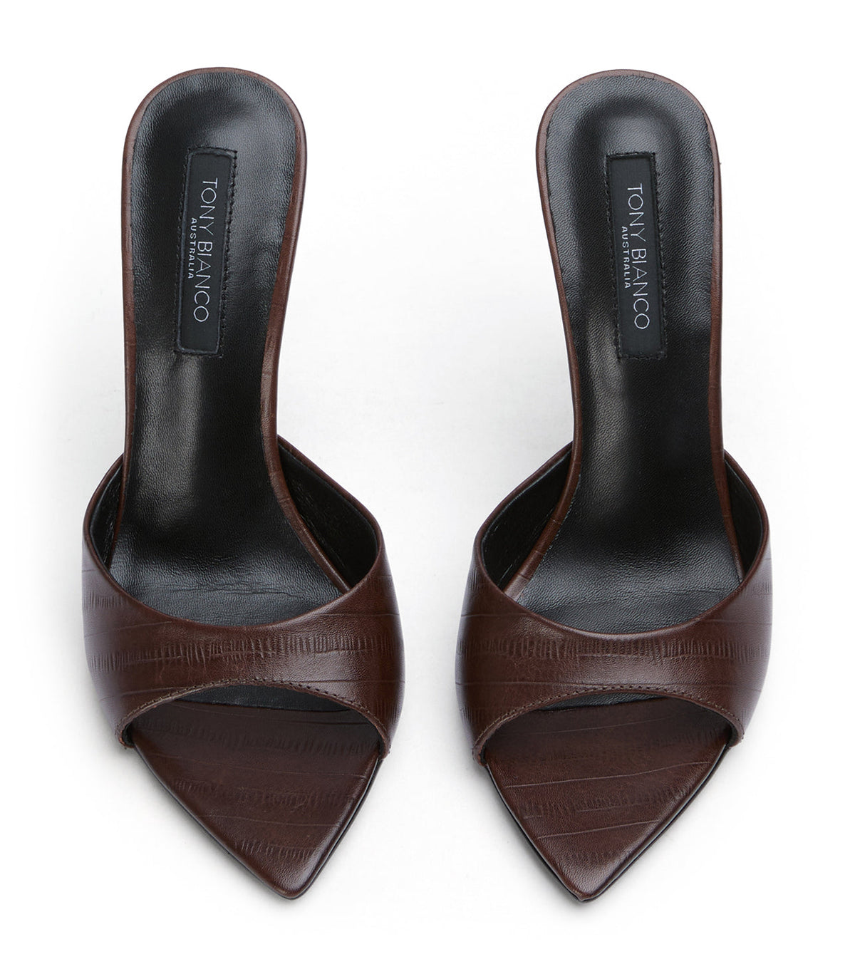 Malibu Brown Anguille | Tony Bianco