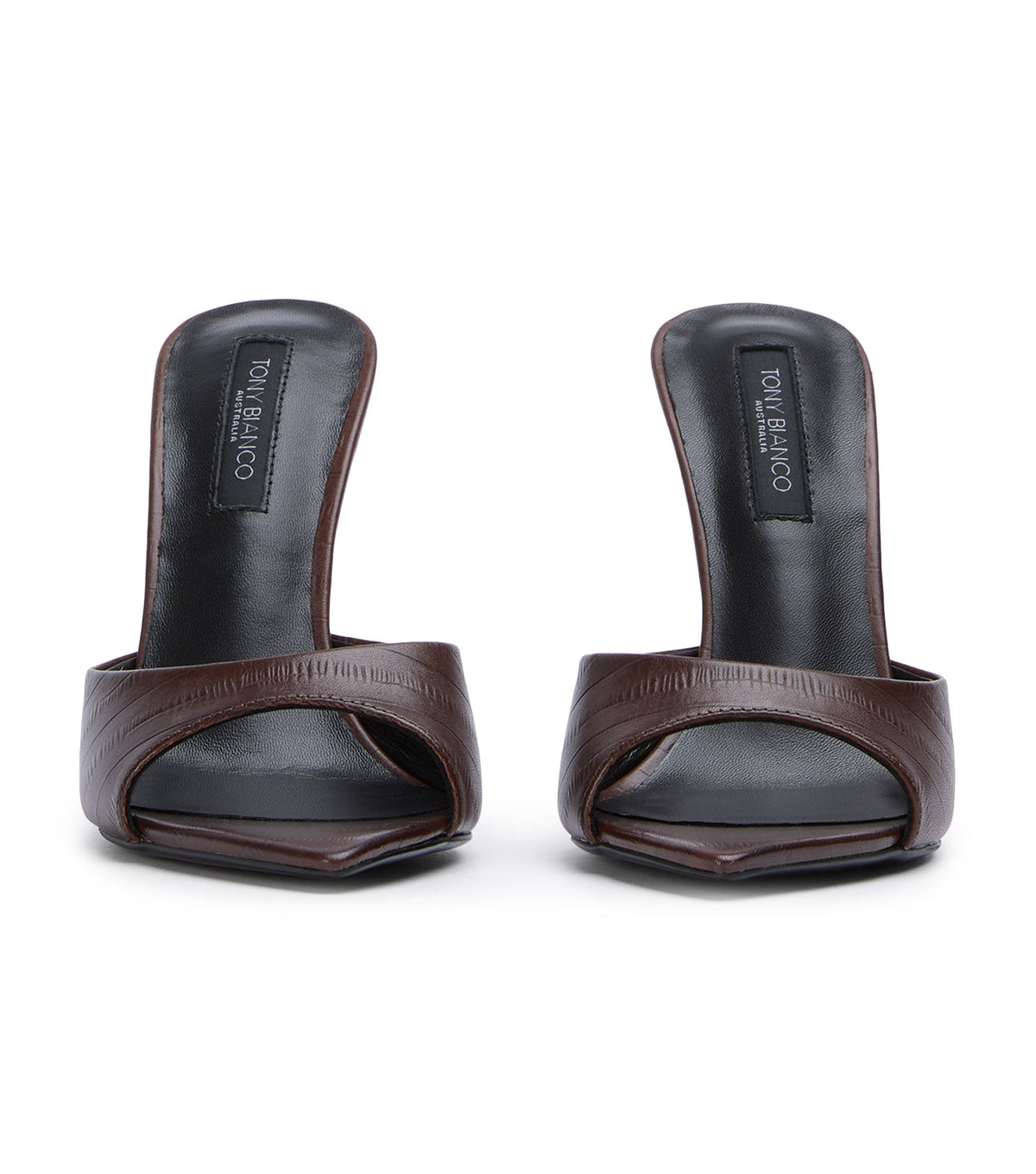 Malibu Brown Anguille | Tony Bianco